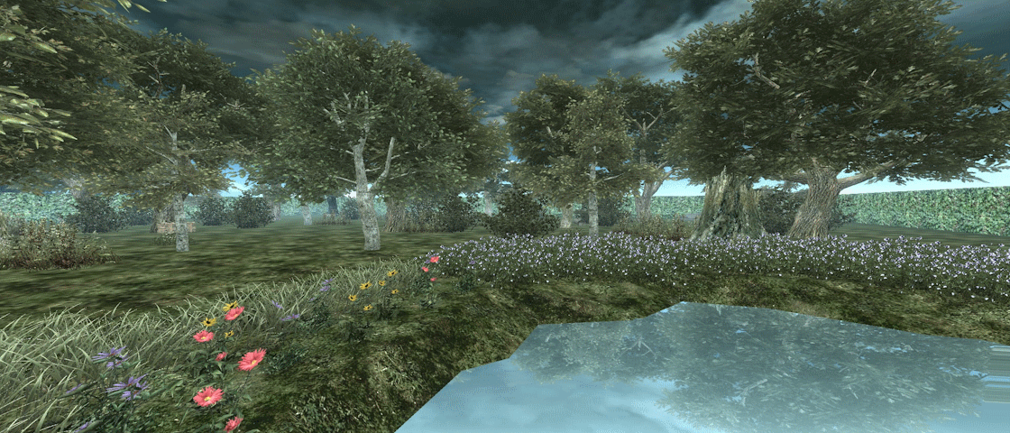 Chef d’Œuvre Baccalauréat (C.O.B.)